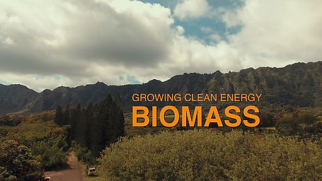 BIOMASS - Growing Green Energy